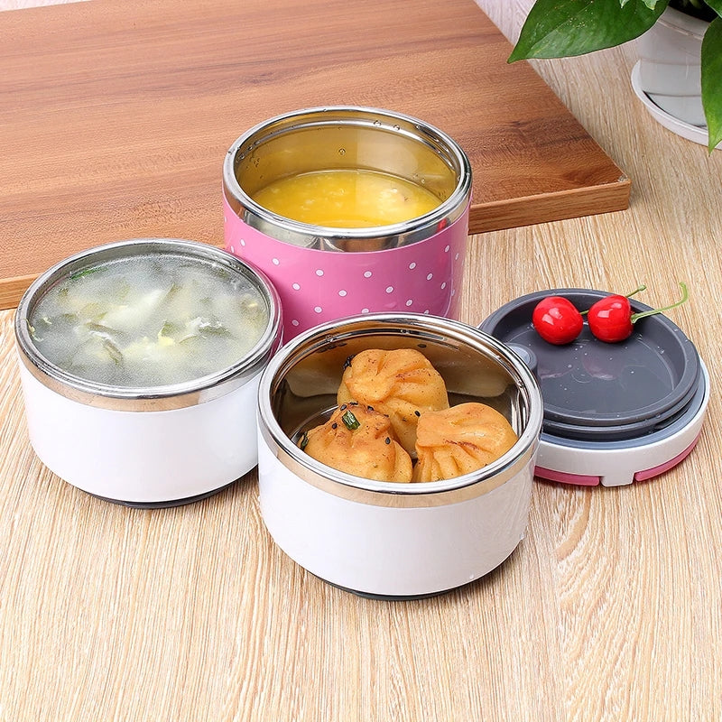 Japanese Stainless Steel Insulated Bento Box