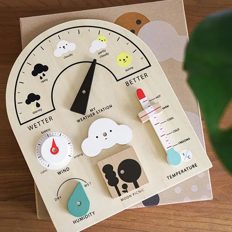 Educational Wooden Weather Board